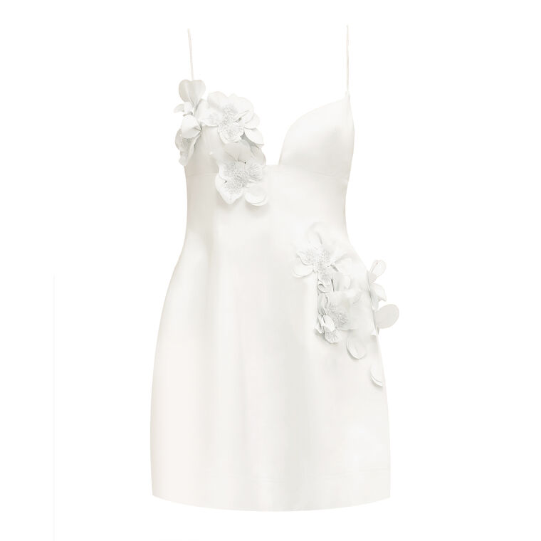 Billy Sleeveless 3D Floral Applique Mini Dress image number null