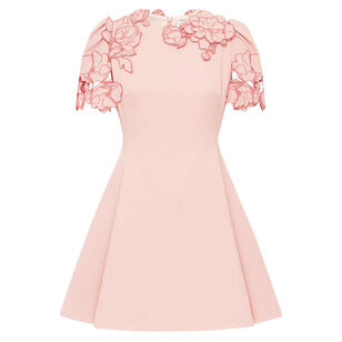 Elyse Applique Short Sleeve Mini Dress