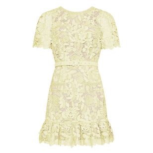 3D Garden Lace Short Sleeve Mini Dress