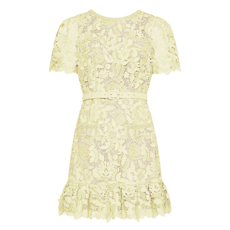 3D Garden Lace Short Sleeve Mini Dress image number null