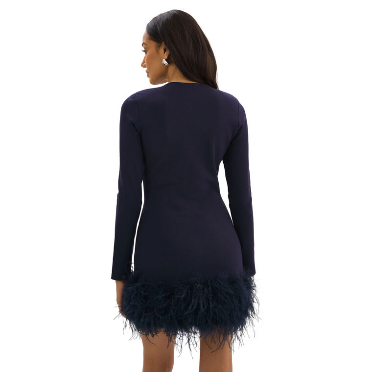 Bahira Feather Hem Mini Dress image number null