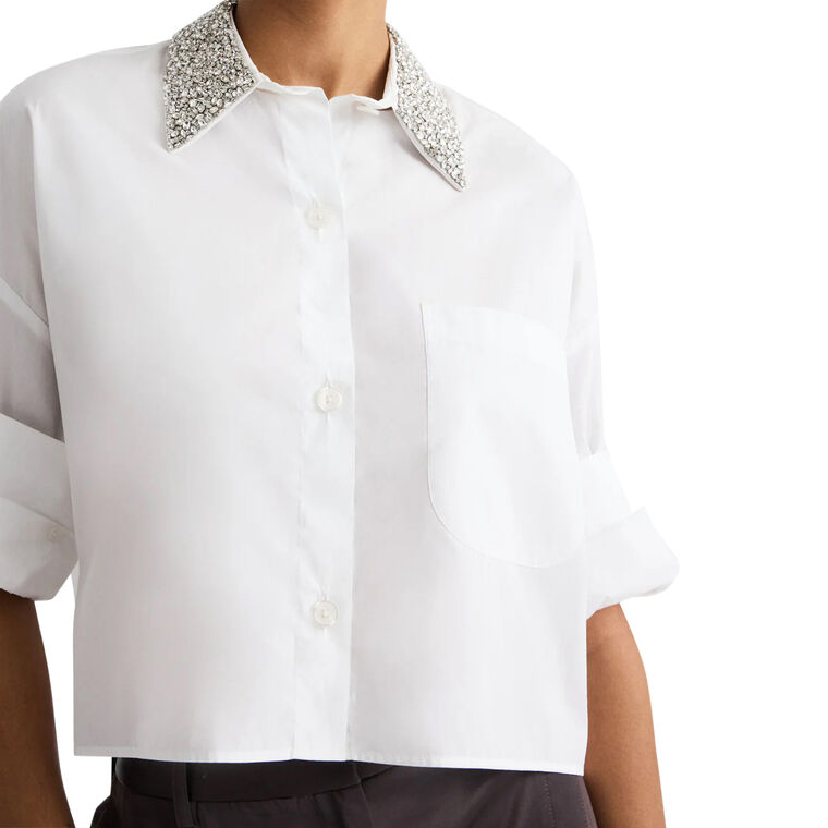 Next Ex With Crystal Collar image number null