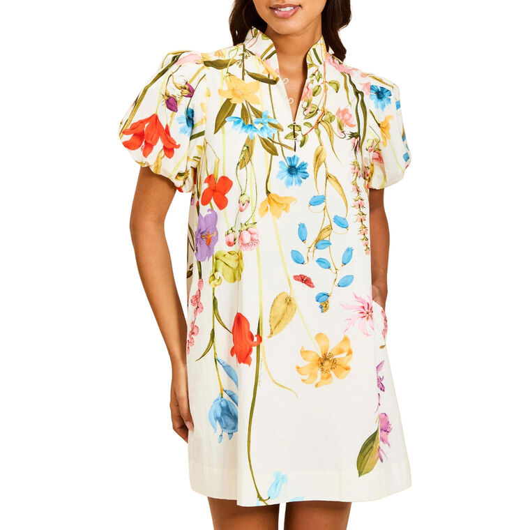 Elliana Printed Puff Sleeve Mini Dress image number null