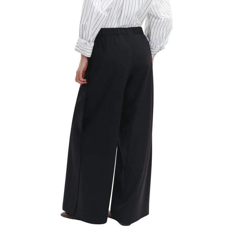 Eva Pant With Tux Pleat image number null