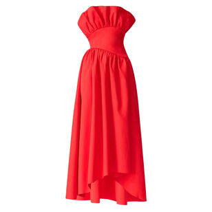 Laurel Strapless A-Line Maxi Dress