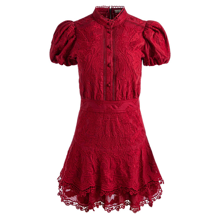 Loryn Embroidered Short Sleeve Mini Shirt Dress image number null