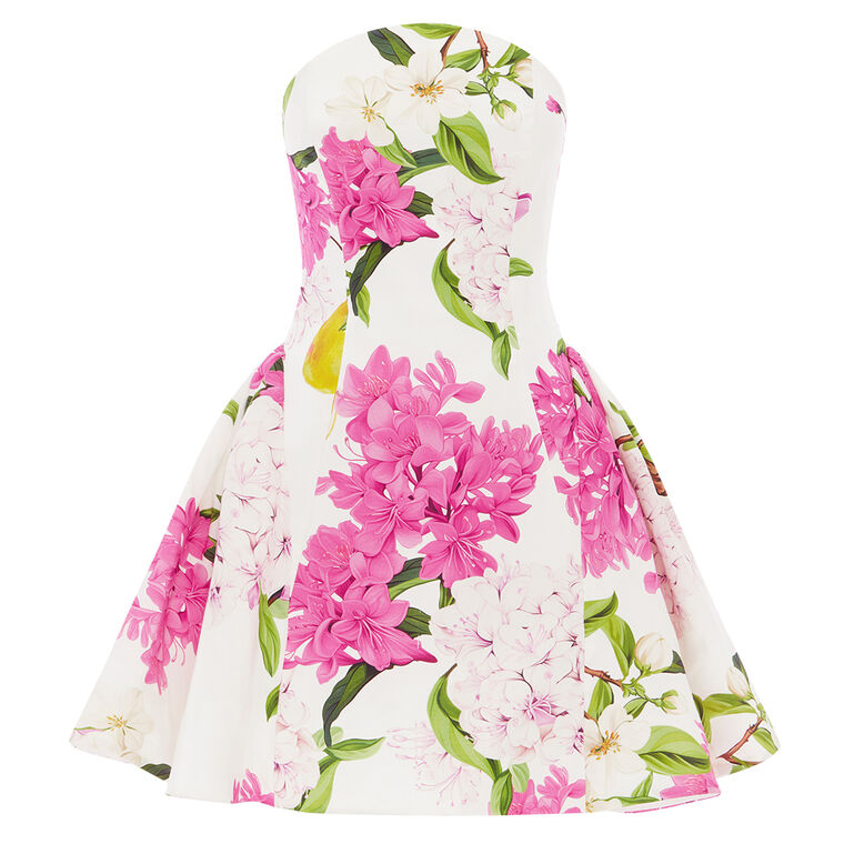 Reese Strapless Bustier Mini Dress image number null