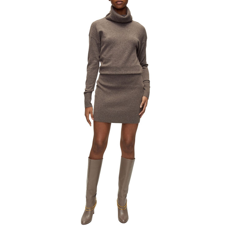 Cassidy Turtleneck Mini Dress image number null