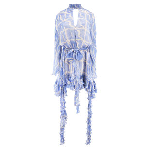 Amalia Long Sleeve Ruffle Mini Dress
