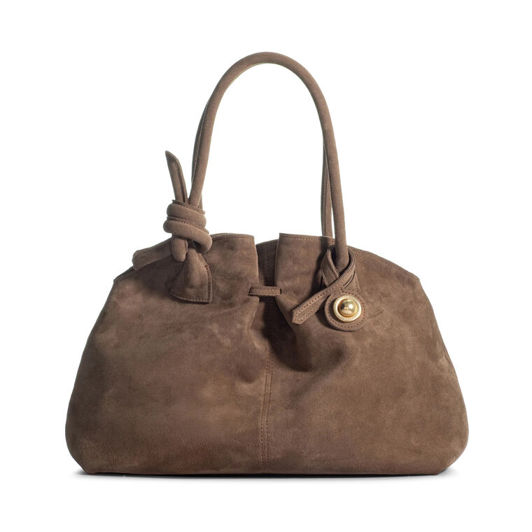 The Maxi Swan 2.0 Bag In Suede image number null