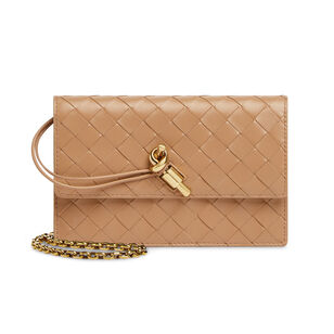 Andiamo Wallet On Chain