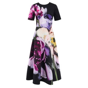 Short Sleeve Jewel Neck Fit And Flare Dress