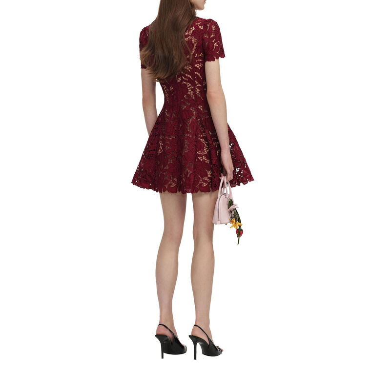 Short Sleeve Collared Lace Mini Dress image number null