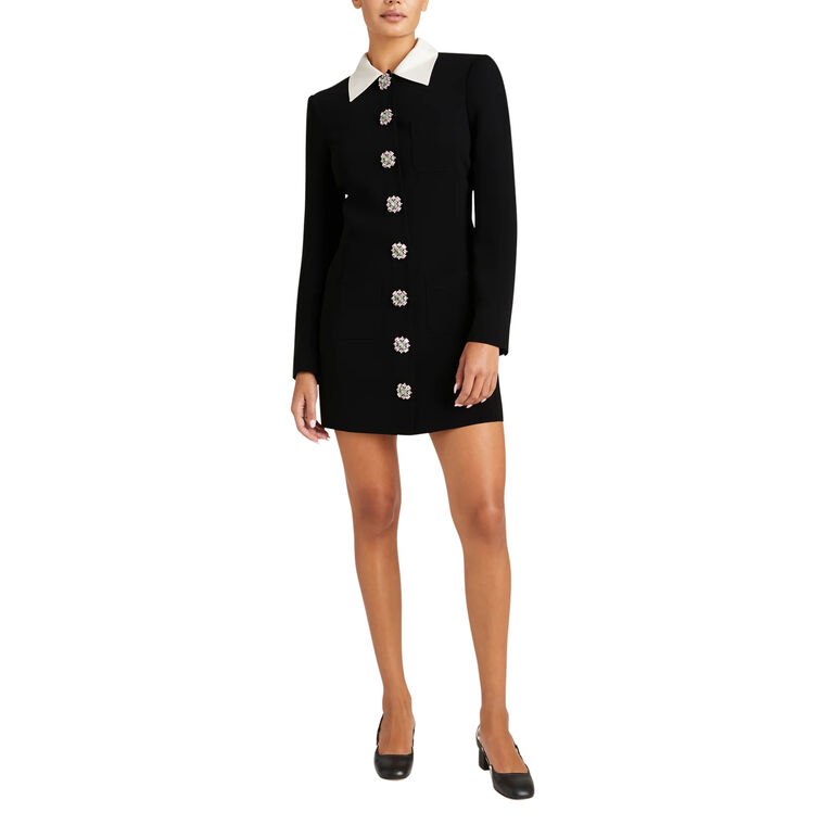 Sheryl Long Sleeve Collared Mini Dress image number null