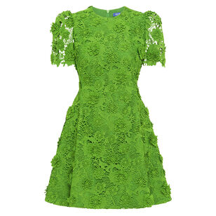 Elyse Lace Short Sleeve Mini Dress