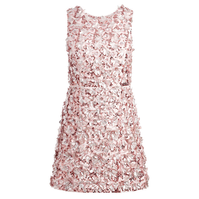 Lindsey Embellished Mini Dress image number null