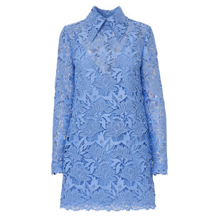 Tulip Embroidered Lace Mini Dress With Collar