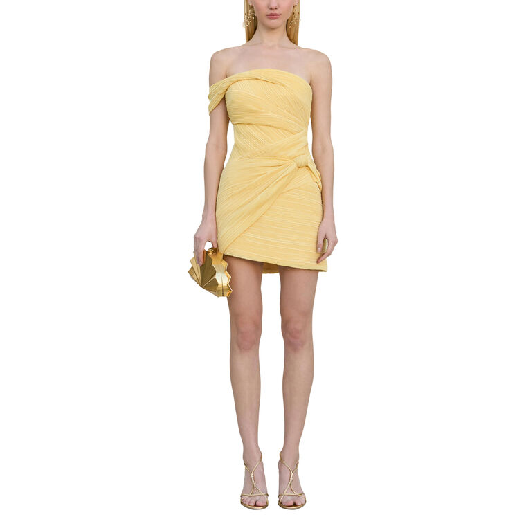 Ahra Strapless Mini Dress image number null