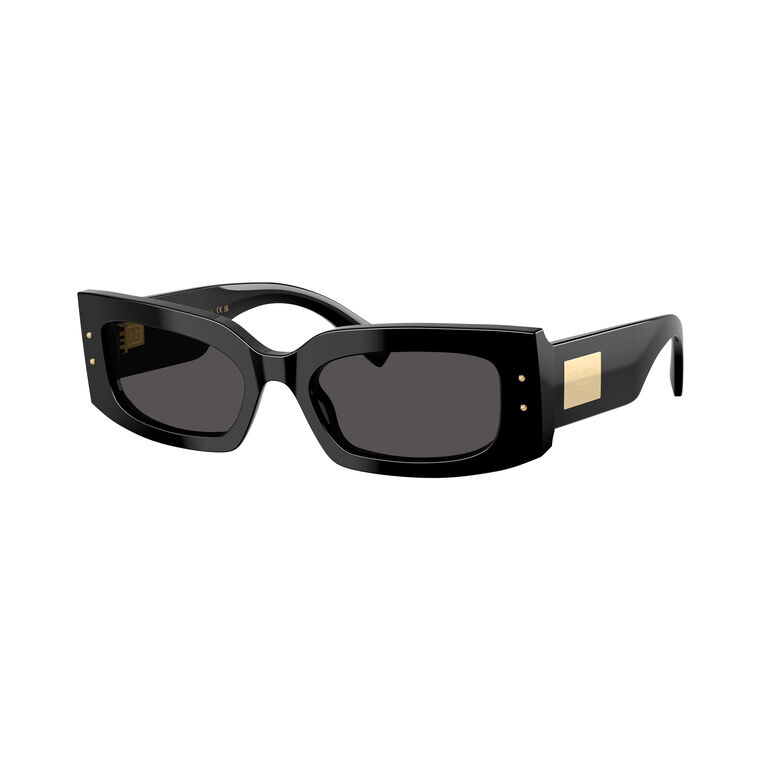 Sunglasses With Gold Plaque image number null