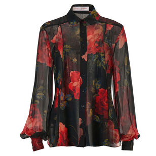 Isabella Long Sleeve Chiffon Top