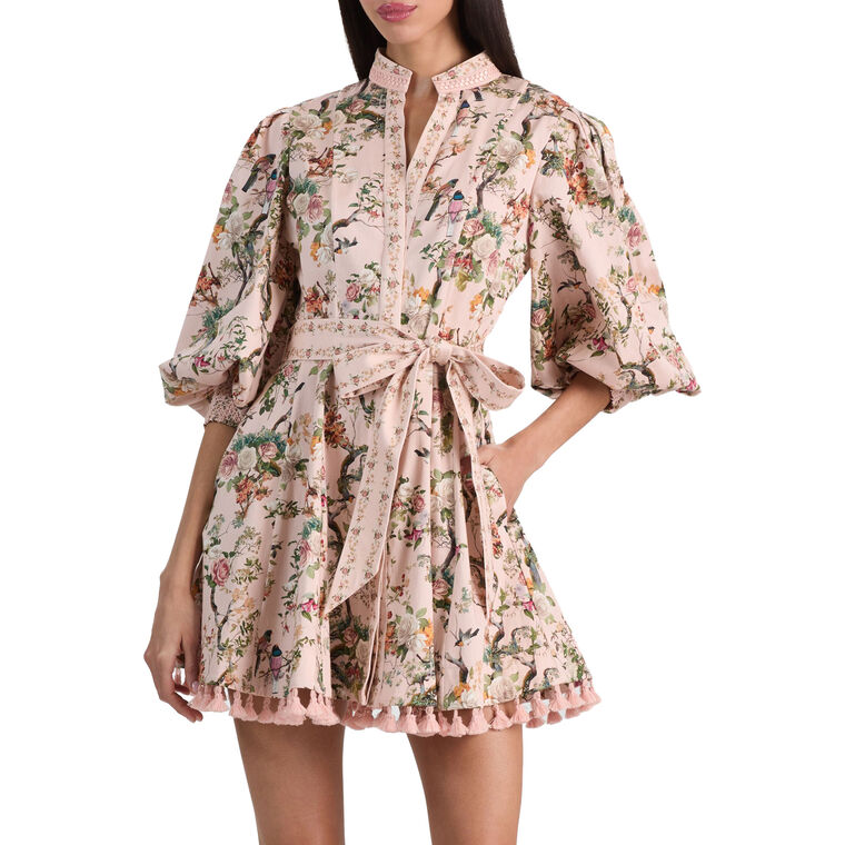 Lucy Mini Shirt Dress image number null