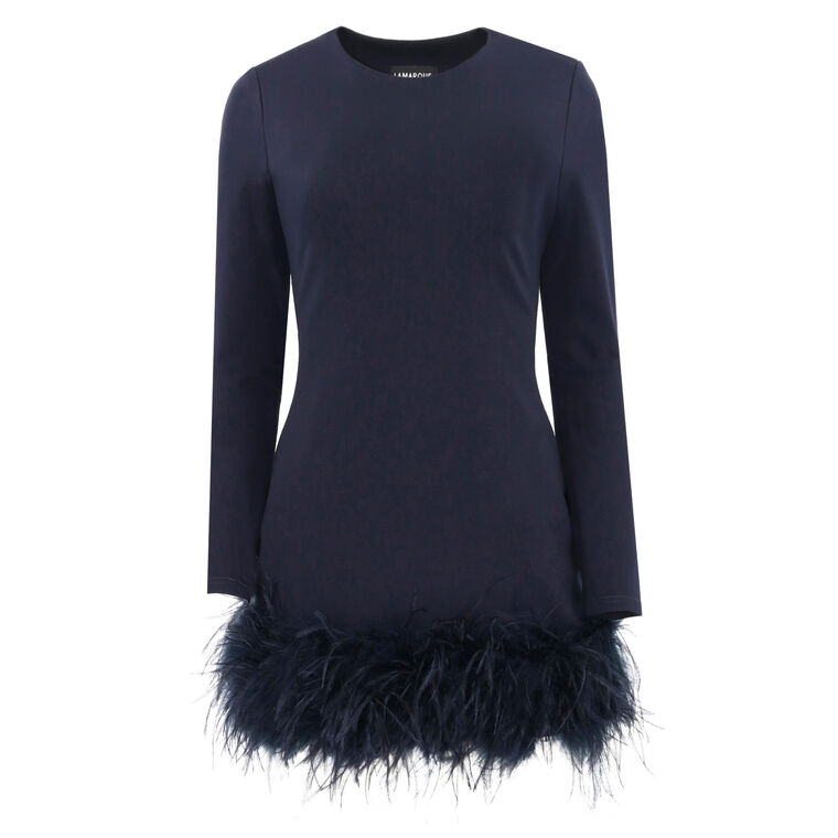 Bahira Feather Hem Mini Dress image number null