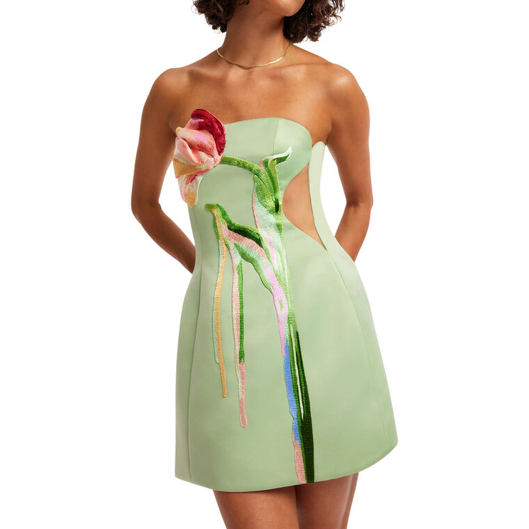 Roselle Cutout Bustier Mini Dress image number null