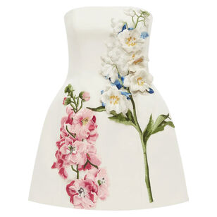 Roselle Embroidered Strapless Bustier Mini Dress