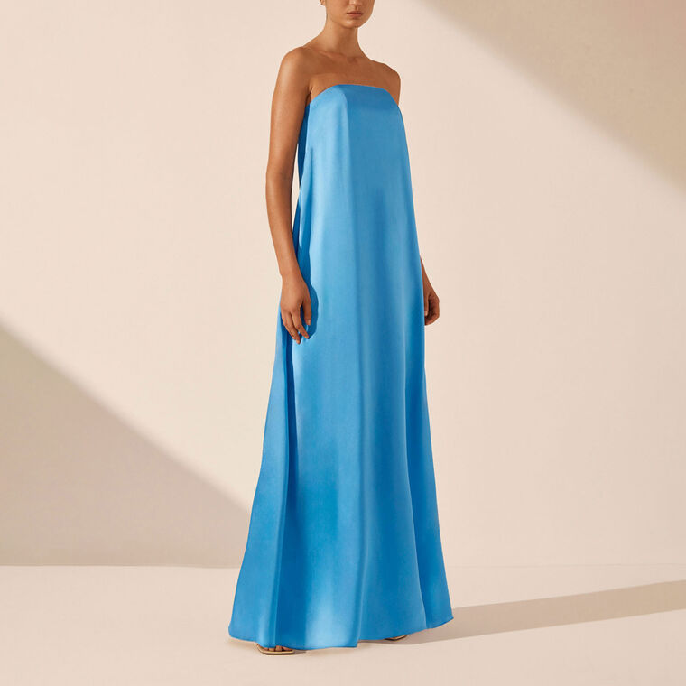 Ciel Silk Strapless Column Maxi Dress image number null