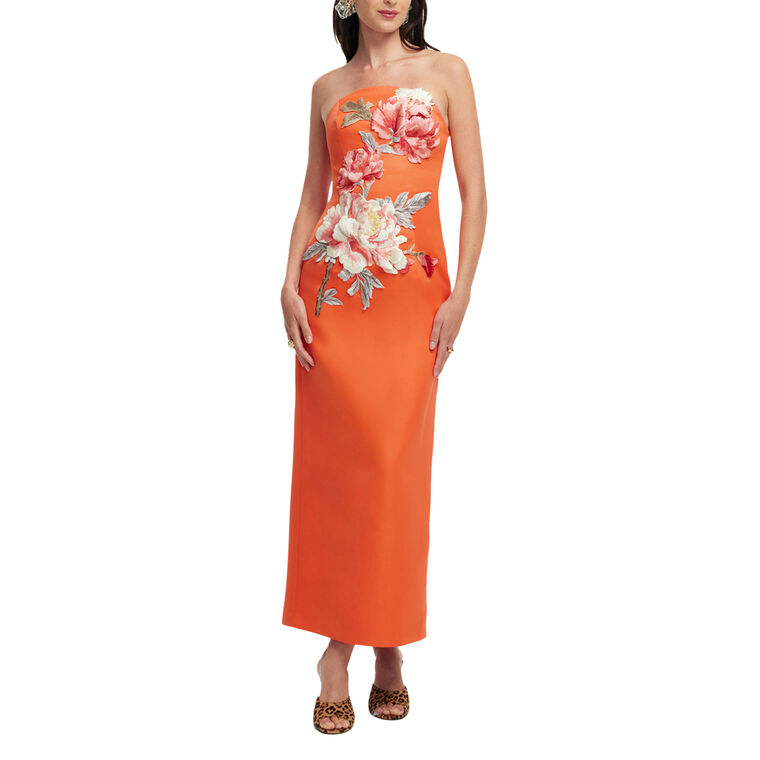 Ava Floral Applique Strapless Bustier Maxi Dress image number null