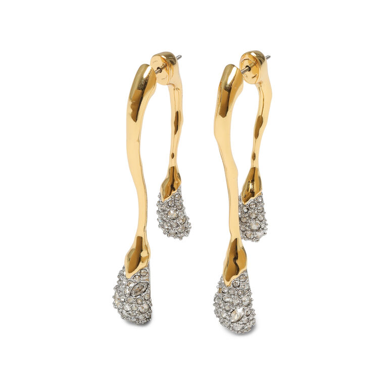 Solanales Gold Crystal Front Back Double Drop Earring image number null