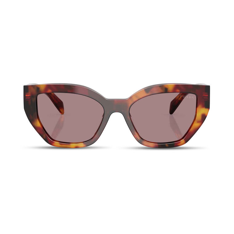 Cat-Eye Acetate Sunglasses image number null