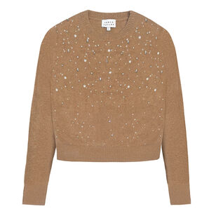 Lexia Long Sleeve Embellished Crewneck Sweater