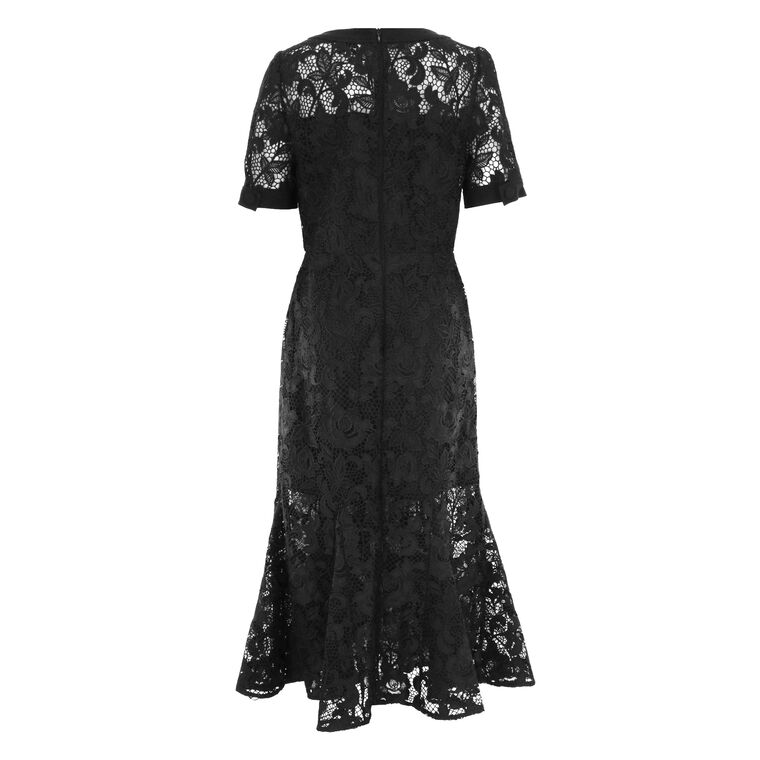 Ailany Lace Midi Dress image number null