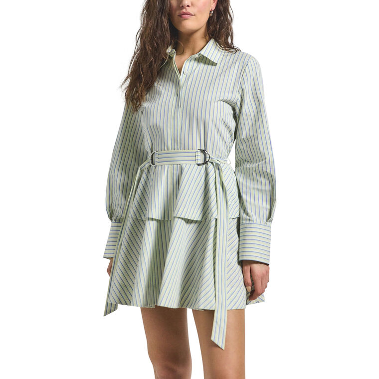 Katherine Belted Button Down Dress image number null