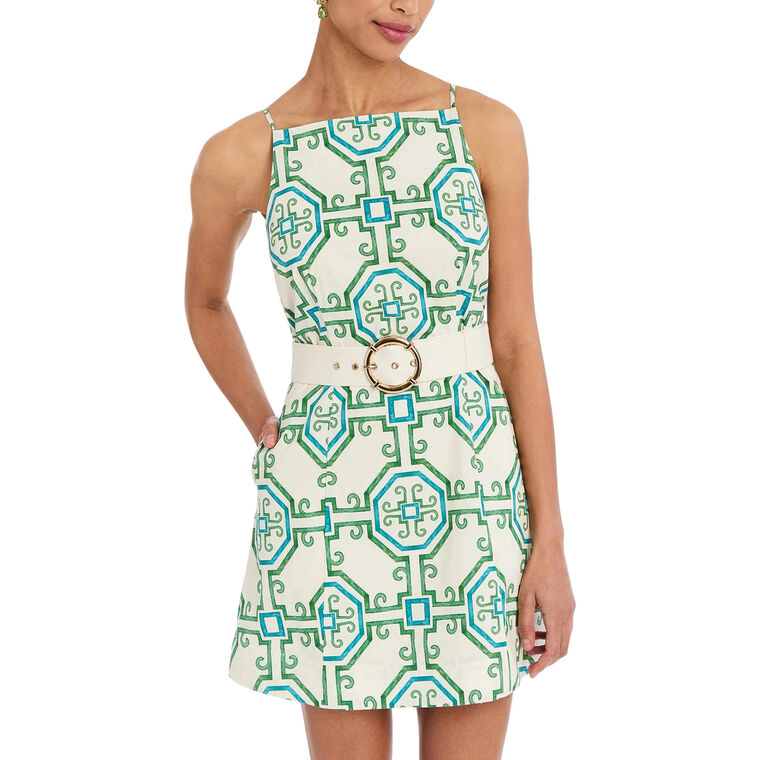 Havana Belted Mini Dress image number null