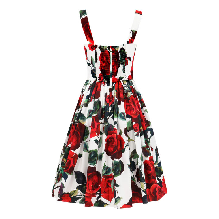 Roses Cotton Fit And Flare Dress image number null