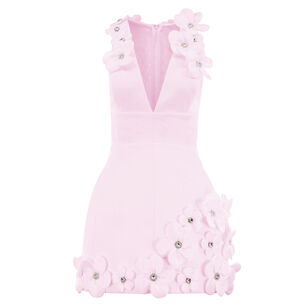 Estelle Sleeveless V-Neck Floral Applique Mini Dress