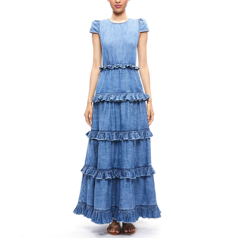Cadby Denim Ruffled Maxi Dress image number null
