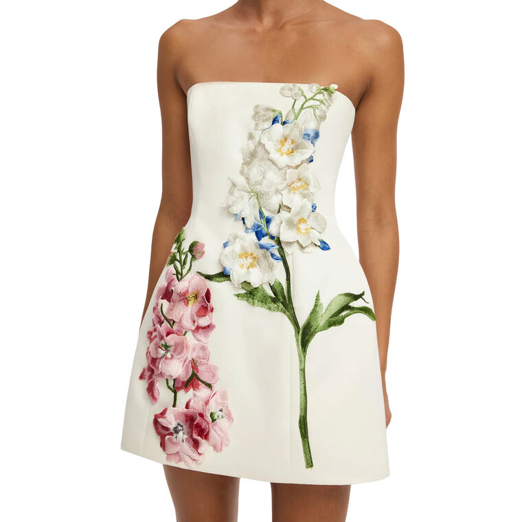 Roselle Embroidered Strapless Bustier Mini Dress image number null