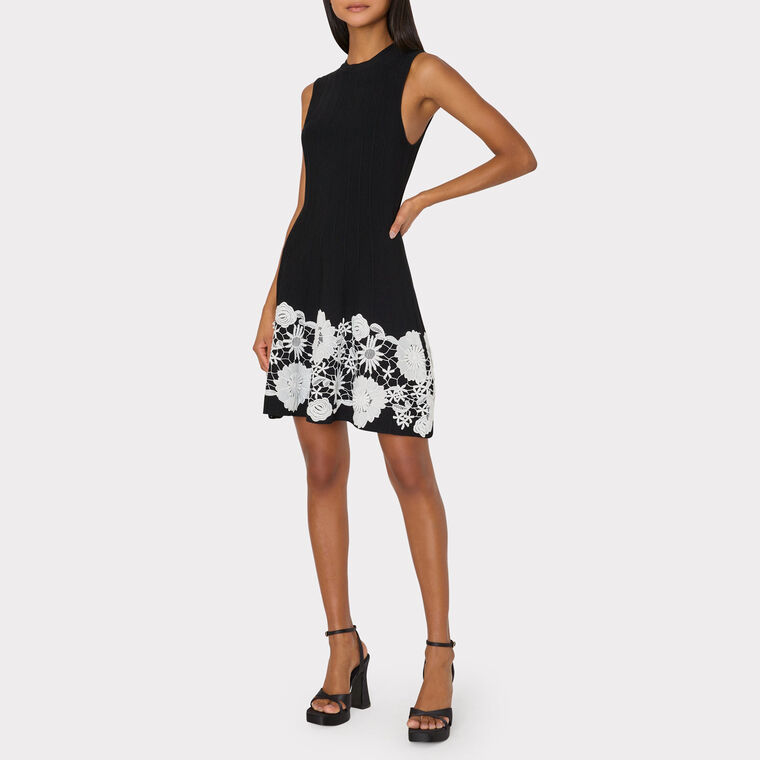 Sleeveless Lace Trim Fit And Flare Dress image number null