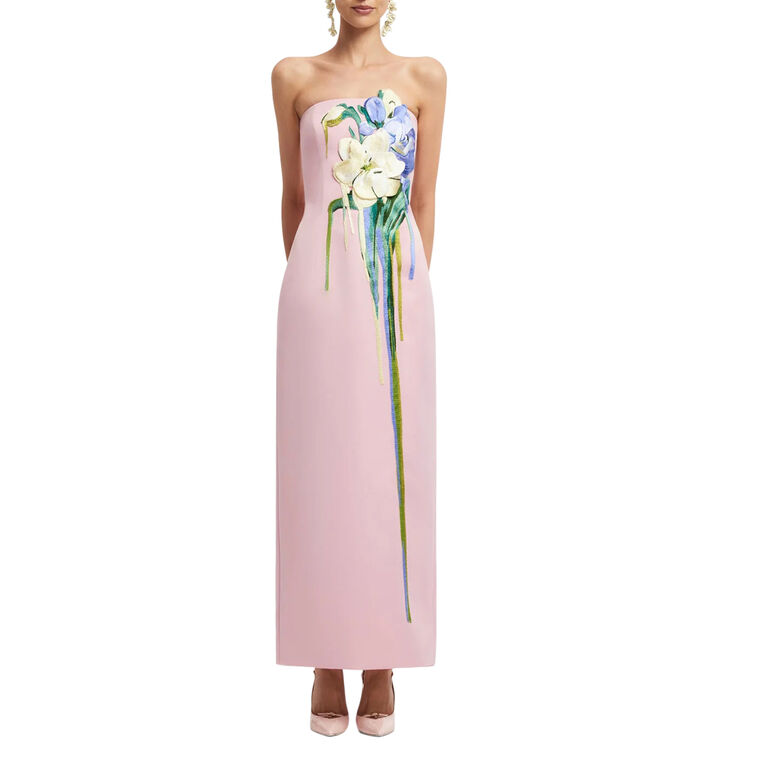 Rayna Embroidered Bustier Maxi Dress image number null
