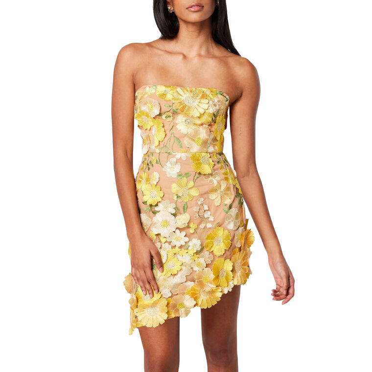 New-Age 3D Floral Mini Dress image number null