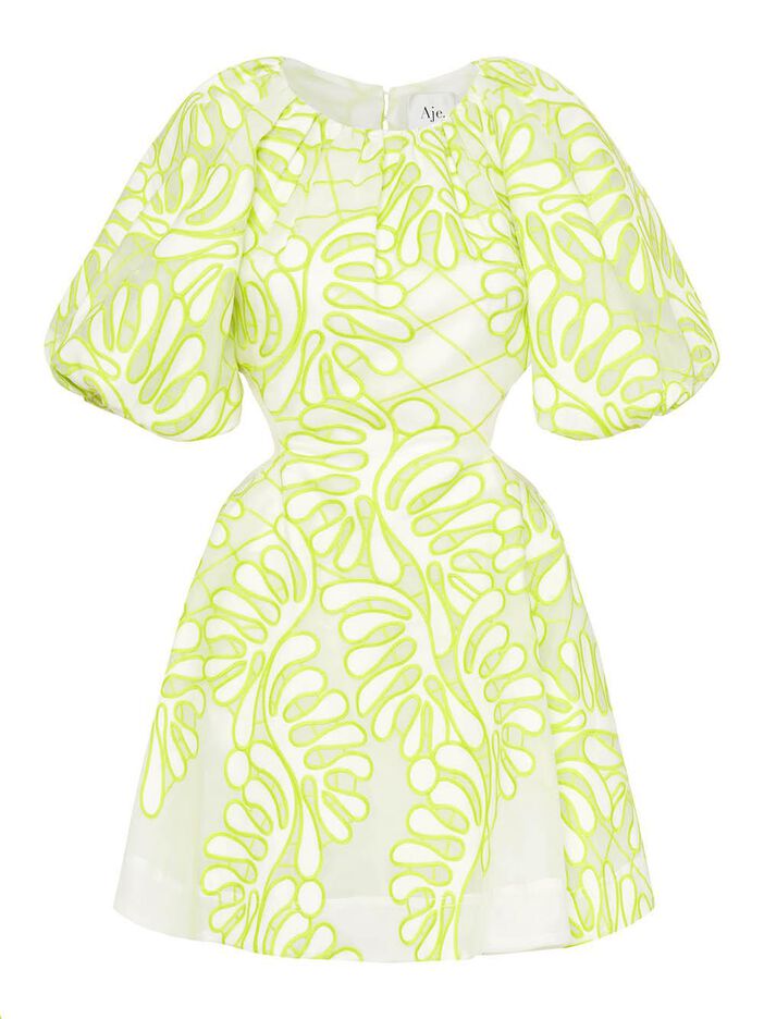 Botanical Applique Mini Dress image number null