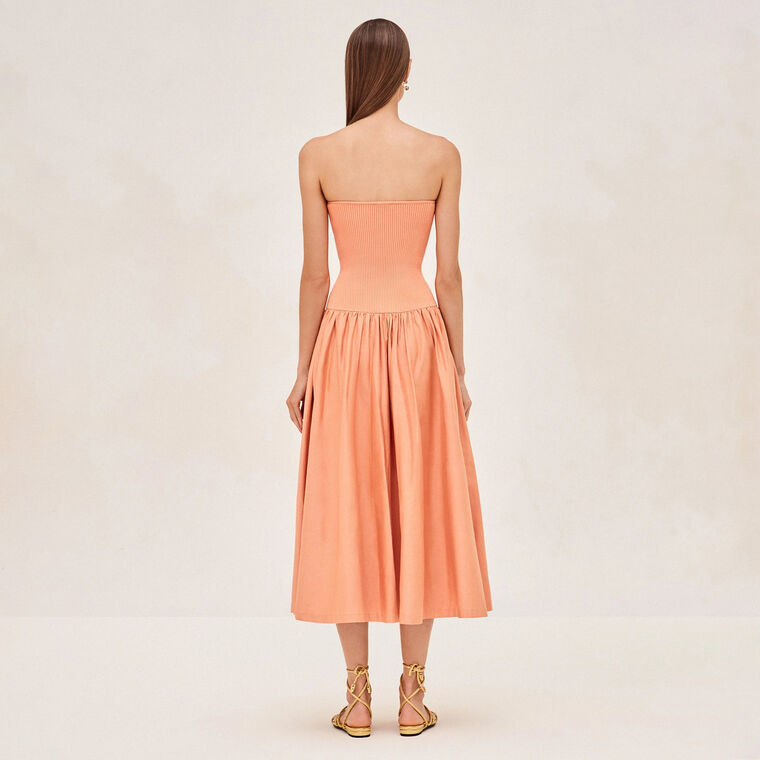 Kamali Knit Bodice Dress image number null