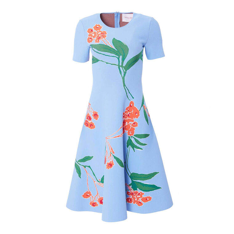 Short Sleeve Knit Flare Dress image number null