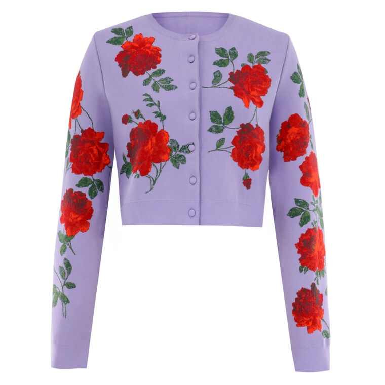 Long Sleeve Crewneck Cropped Cardigan image number null