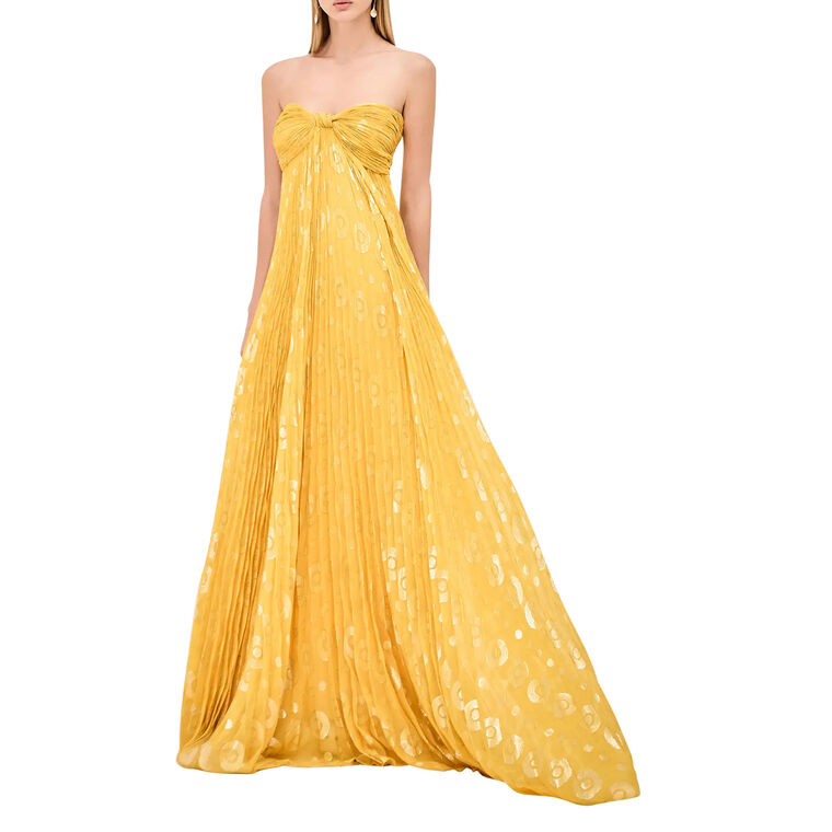 Solei Strapless Pleated Maxi Dress image number null