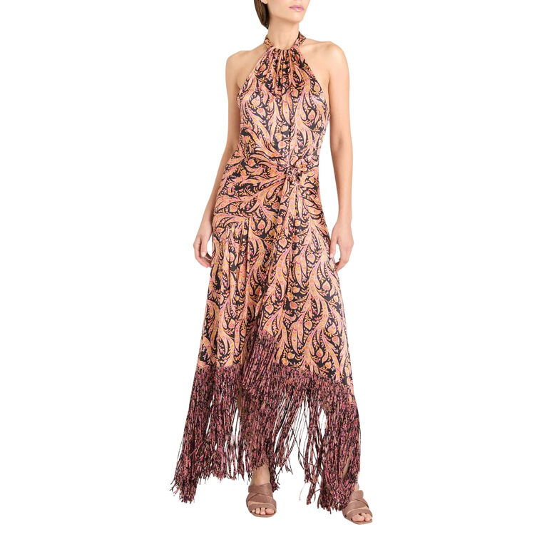 Charming Paisley Teresa Halterneck Maxi Dress image number null
