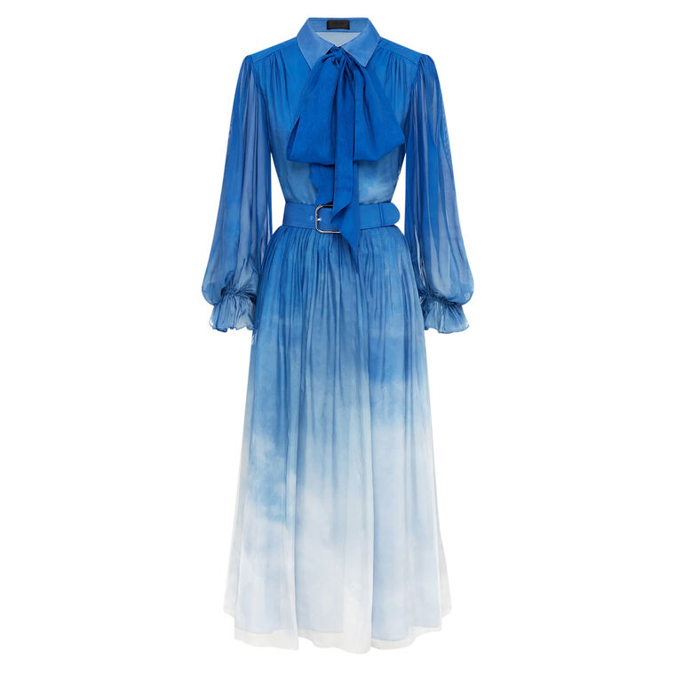 leo lin blue dress Zaria Appliqué Floral Bustier Mini Dress